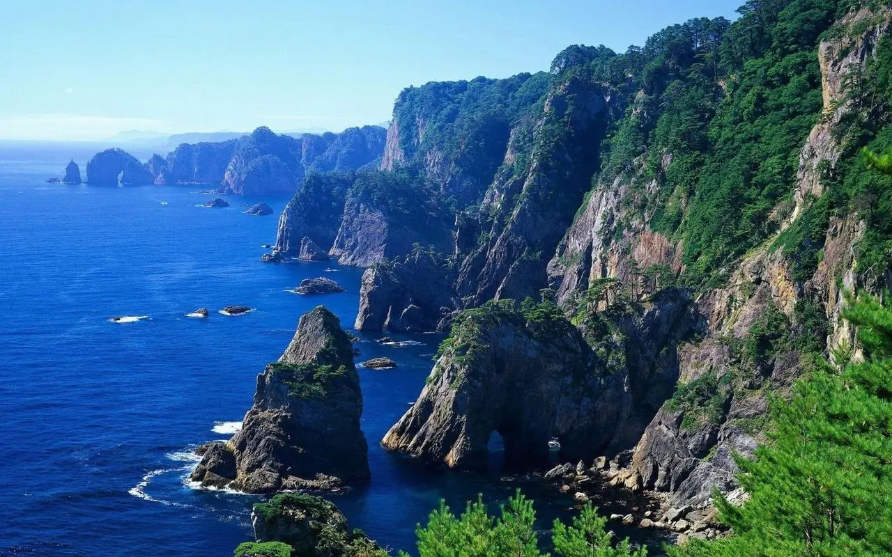高端高效